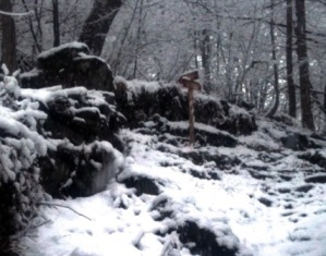 Sentiero neve